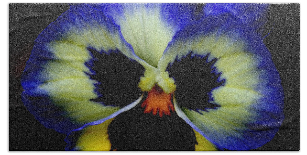 Flower Beach Towel featuring the photograph Pansy Face by Smilin Eyes Treasures