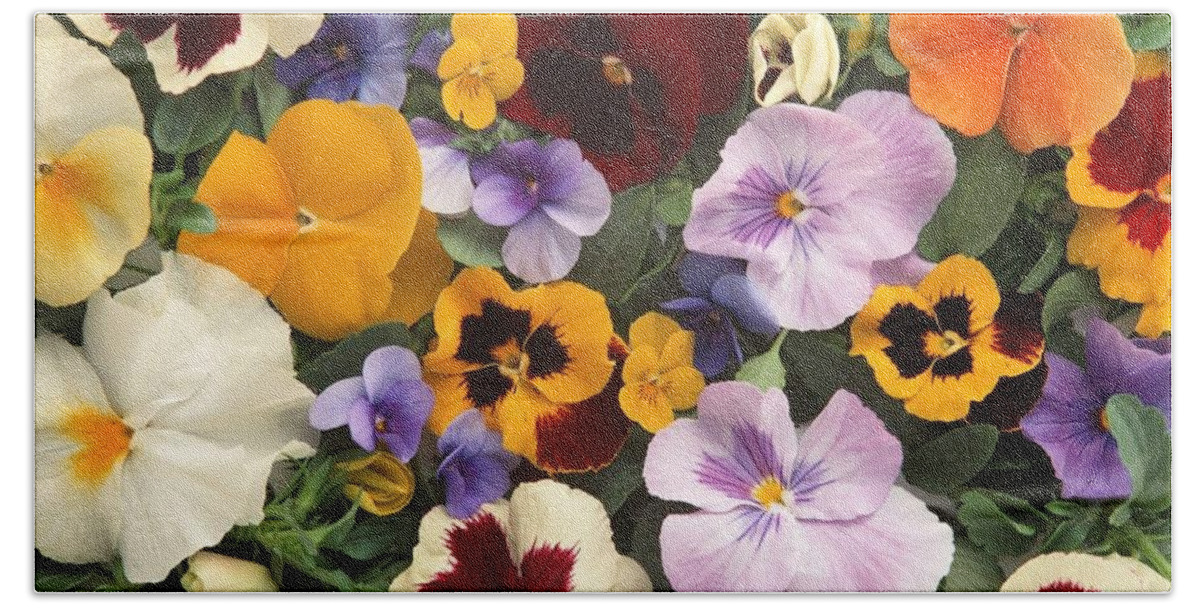 Pansy Beach Towel featuring the digital art Pansy by Maye Loeser