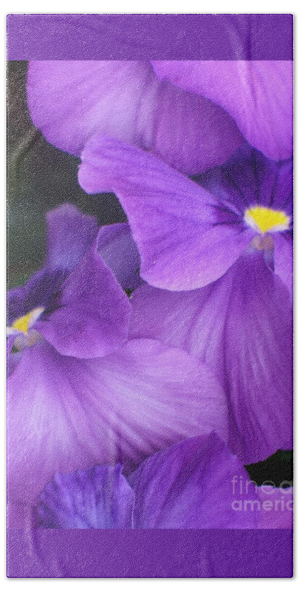 Flowers Beach Towel featuring the photograph Pansy Purple by Sheila Ping