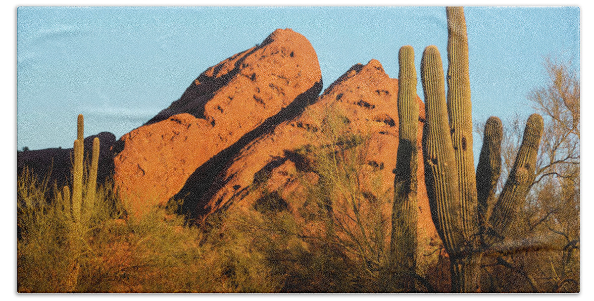 Papago Beach Towel featuring the photograph Papago Park Mountain at Sunrise Phoenix AZ Cactus by Toby McGuire
