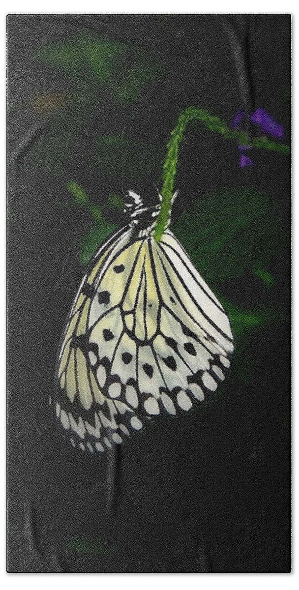Butterfly Beach Towel featuring the photograph Paperwhite Butterfly by Teresa Stallings