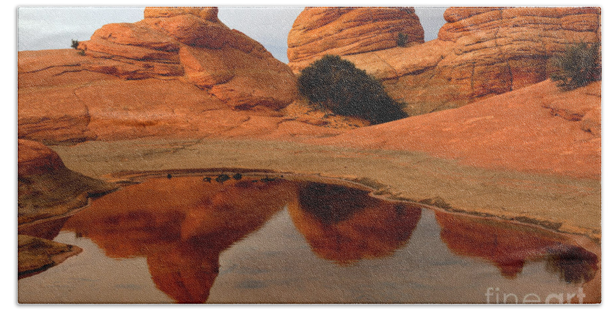 Coyote Buttes Beach Towel featuring the photograph Paria Wilderness Oasis by Adam Jewell