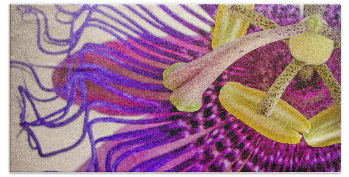 Passion Flower Beach Towel featuring the photograph Passion Flower Squared by TK Goforth