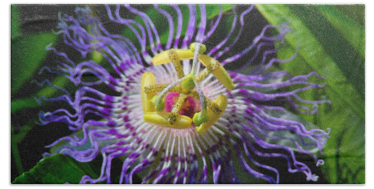 Flower Beach Towel featuring the photograph Passionflower Spiritual Art by Robyn King