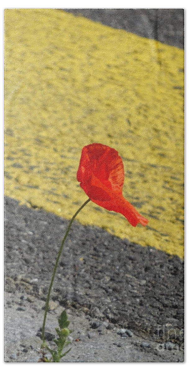 Pavement Beach Towel featuring the photograph Pavement poppy by Brian Boyle