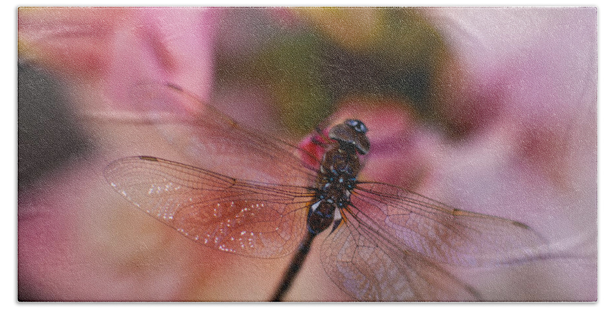 Dragonfly Beach Towel featuring the photograph Peace and Serenity by Mike Reid