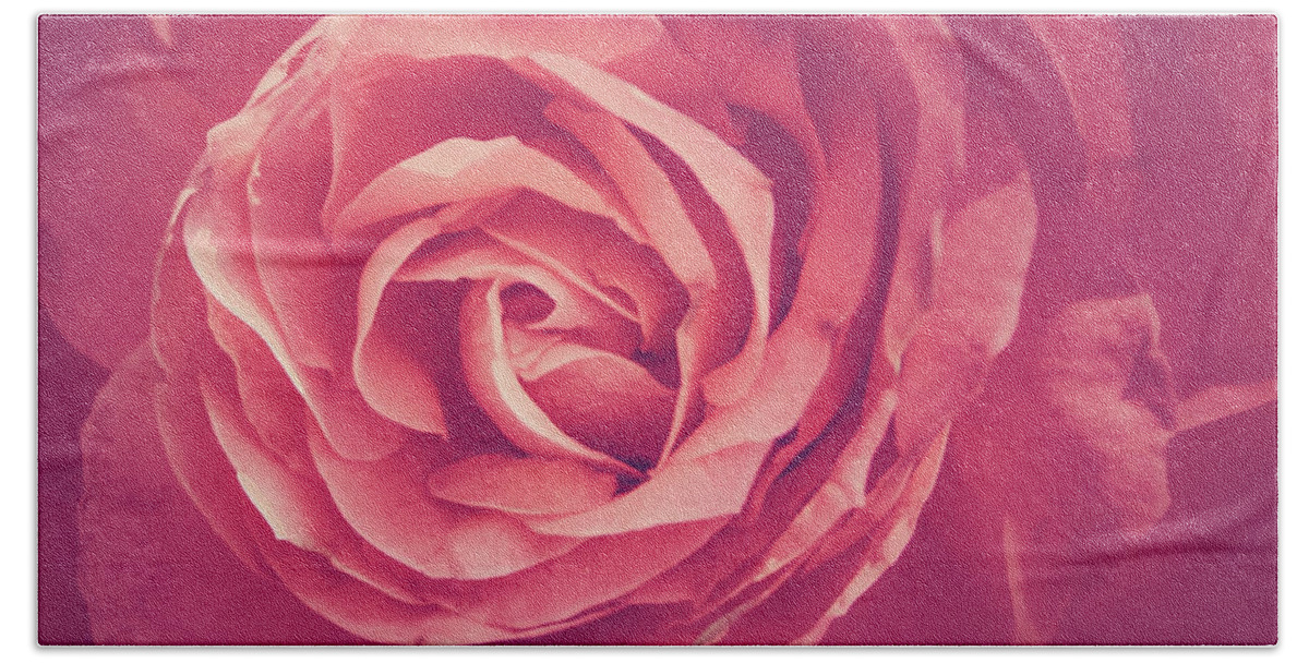 Rose Beach Sheet featuring the photograph Blooms And Petals by Elvira Pinkhas