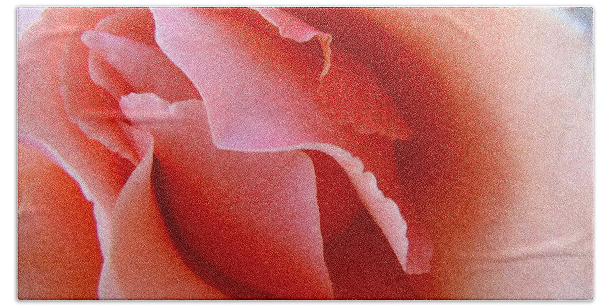 Rose Beach Towel featuring the photograph Peach profile by Teri Schuster