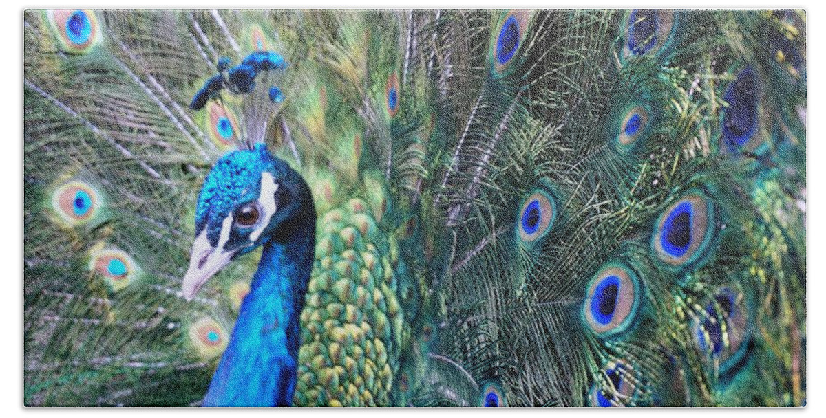 Peacock Beach Sheet featuring the photograph Peacock by Julia Ivanovna Willhite