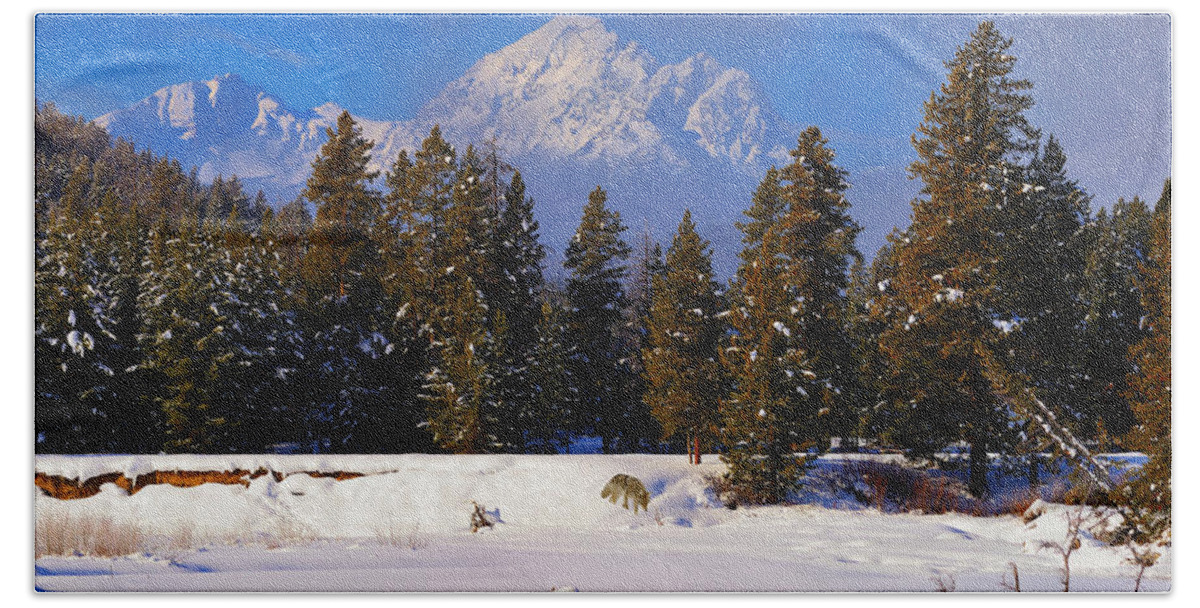 Tetons Beach Towel featuring the photograph Peaking Through by Greg Norrell