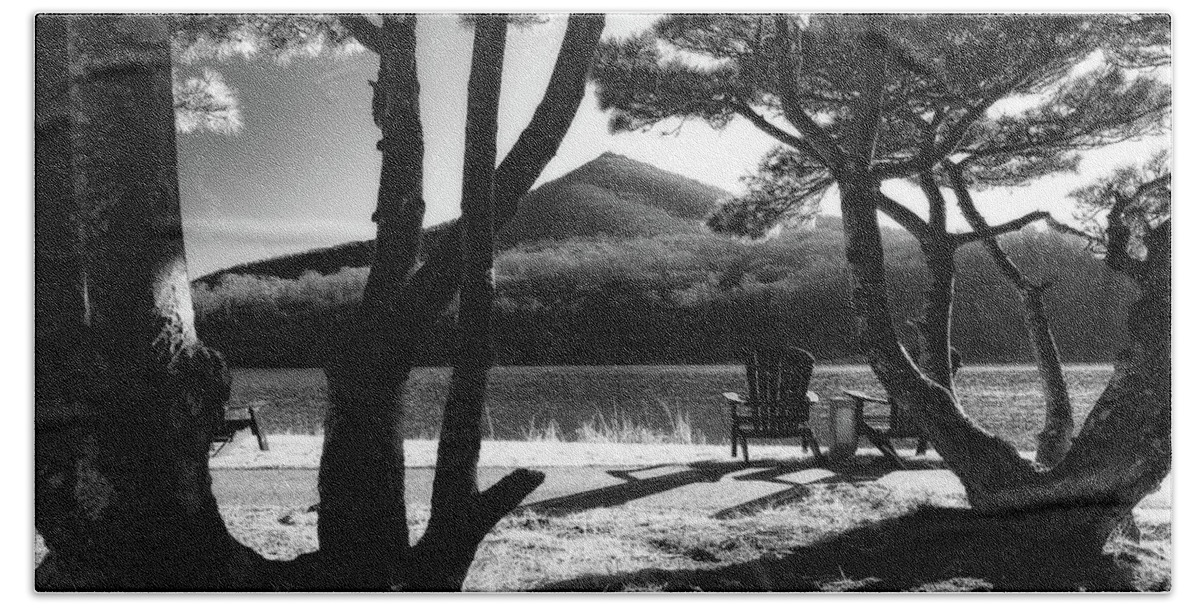 Virginia Beach Sheet featuring the photograph Peaks through the trees by Steve Hurt