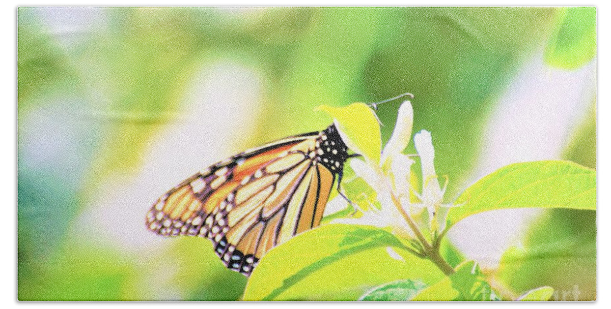 Butterflies Beach Towel featuring the photograph Peek-a-Boo by Merle Grenz