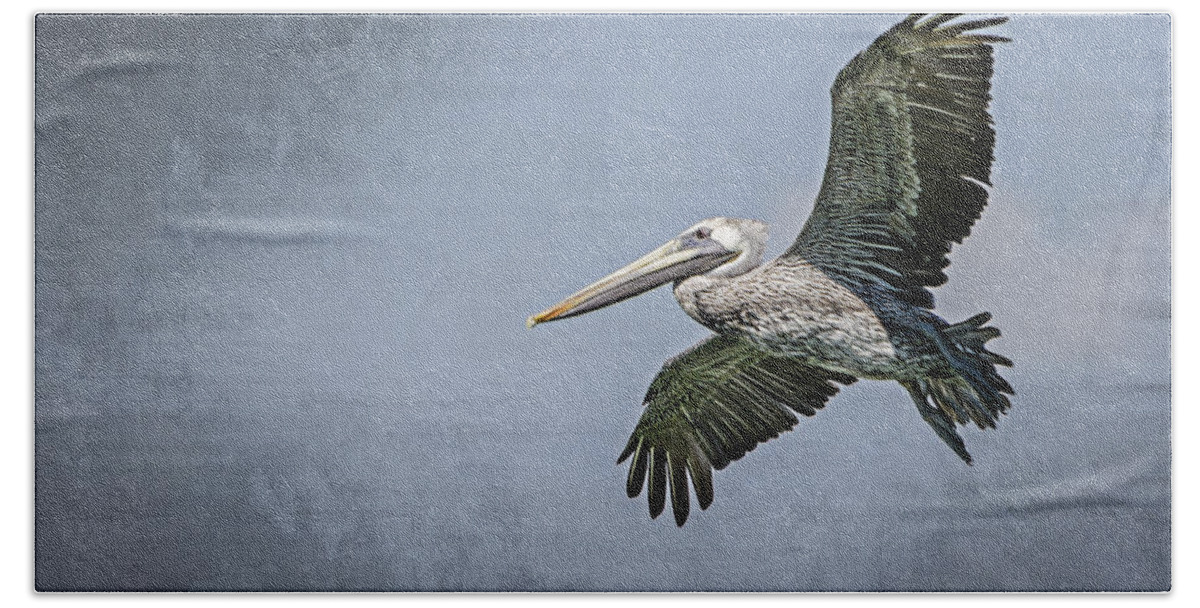 Pelican Beach Sheet featuring the photograph Pelican Flight by Carolyn Marshall
