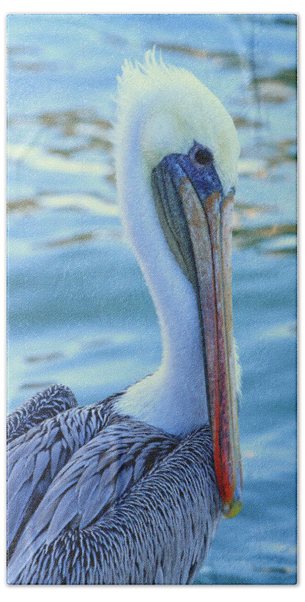Pelican Beach Towel featuring the photograph Pelican Pose by Shoal Hollingsworth
