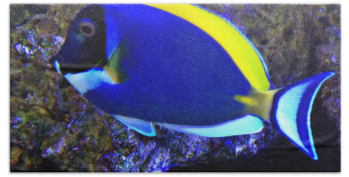 Blue Tang Fish Beach Sheet featuring the photograph Blue Tang Fish by Kathy M Krause