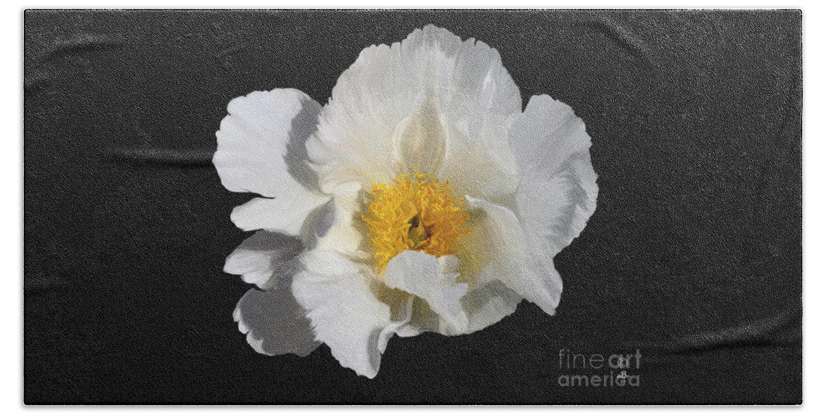 Diane Berry Beach Towel featuring the painting Peony 5 by Diane E Berry