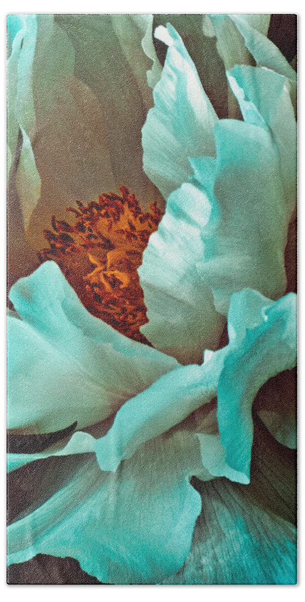 Peony Beach Towel featuring the photograph Peony Flower by Chris Lord