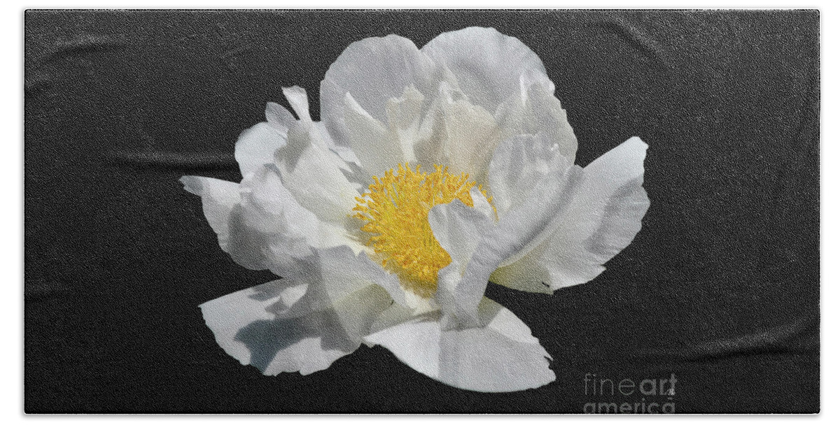 Diane Berry Beach Towel featuring the photograph Peony June by Diane E Berry