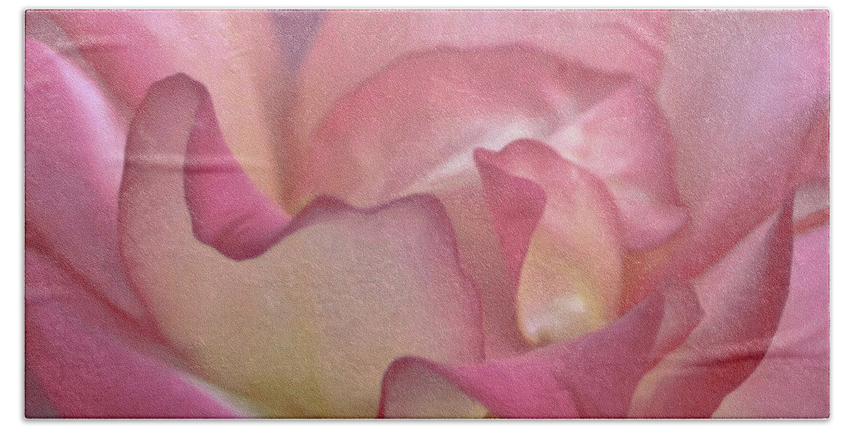 Pink Rose Petals Beach Sheet featuring the photograph Pink Rose Petals by Joann Copeland-Paul