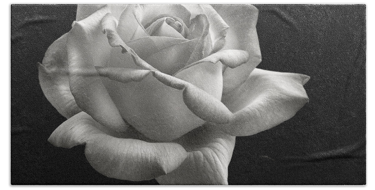 Perfect Rose Beach Towel featuring the photograph Perfect Rose in Black and White by Endre Balogh