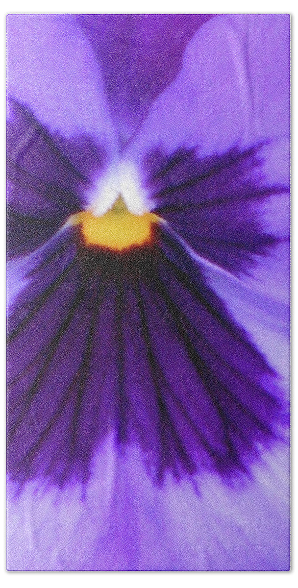 Pansy Beach Towel featuring the photograph Perfectly Pansy 04 by Pamela Critchlow