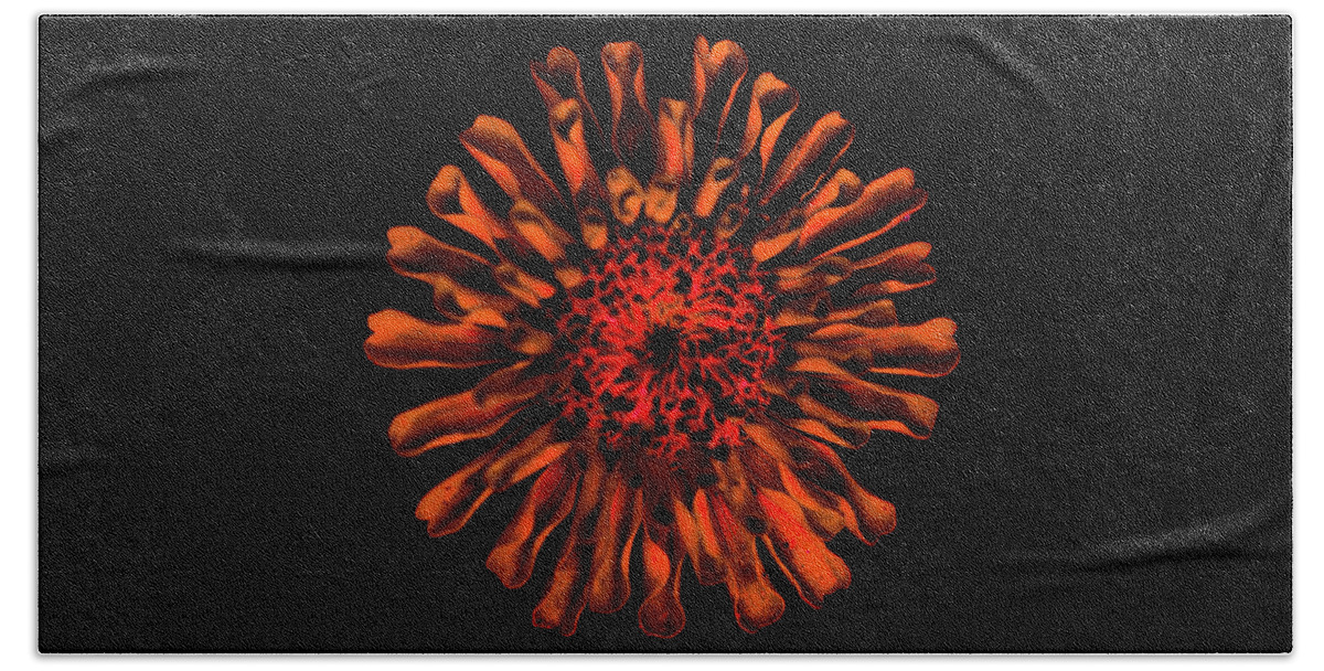 Flower Beach Towel featuring the photograph Petal Fire by Bruce Pritchett