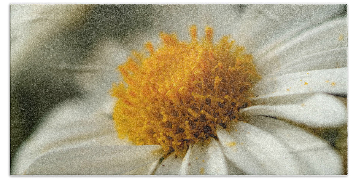Flower Beach Towel featuring the photograph Petals and Pollen by Michael McGowan