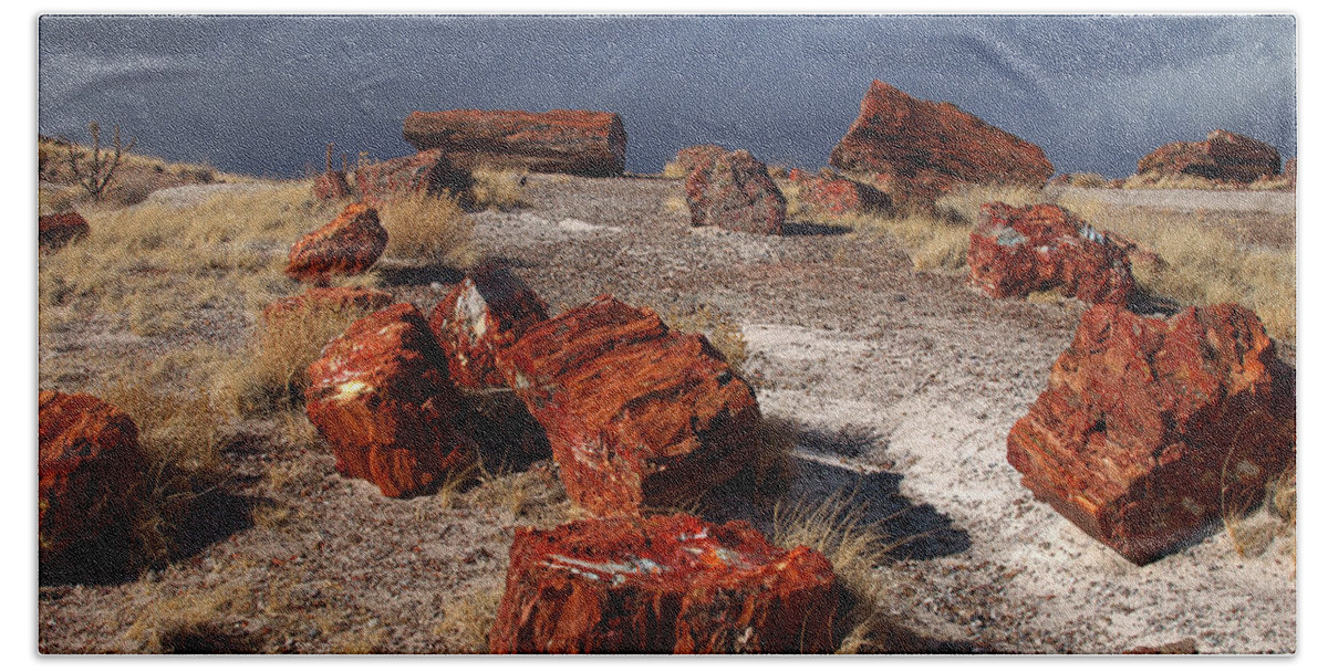 Peterson Nature Photography Beach Sheet featuring the photograph Petrified Forest National Park by James Peterson