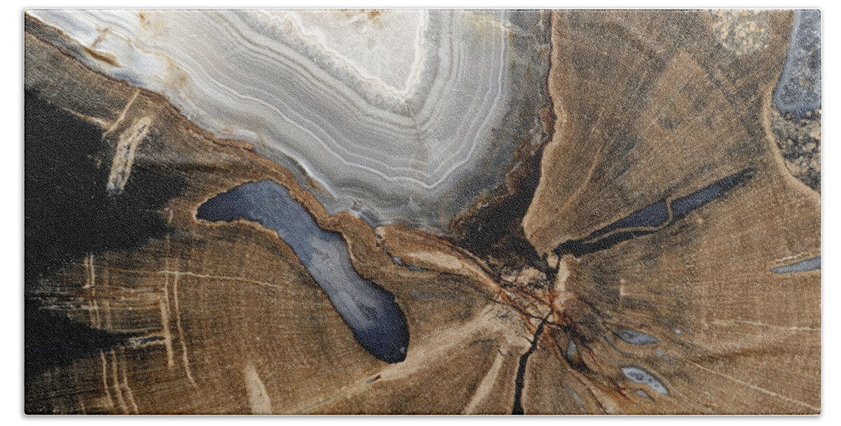 Ancient Beach Towel featuring the photograph Petrified Wood by Ted Kinsman