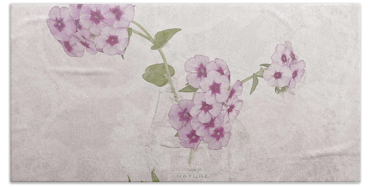 Phlox Flowers Beach Towel featuring the photograph Phlox, Perfume And Lace by Sandra Foster