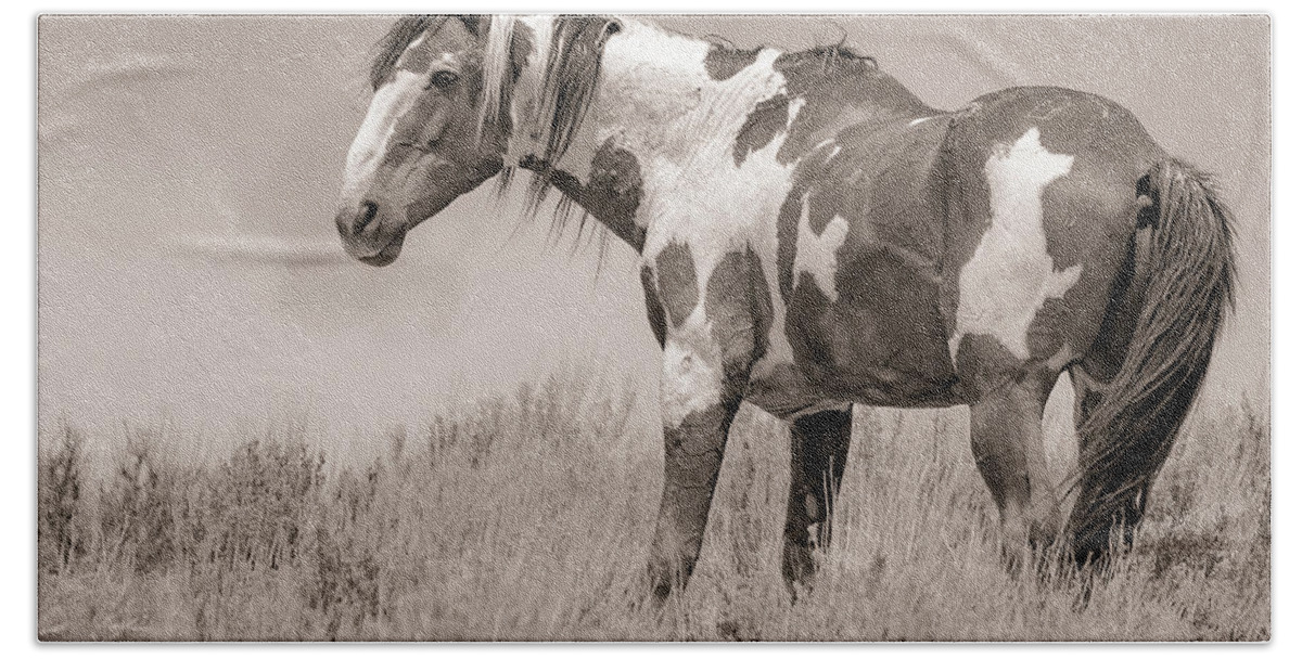 Mustang Beach Towel featuring the photograph Picasso on the Ridge by Mindy Musick King