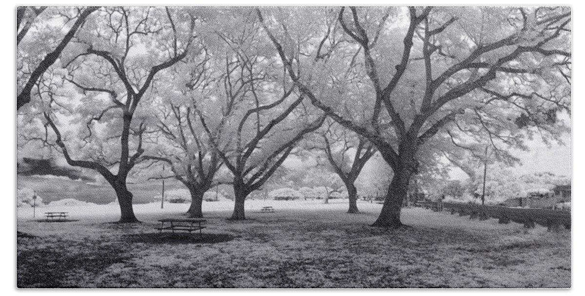 Black And White Beach Towel featuring the photograph Picnic Bench Dream by Sean Davey