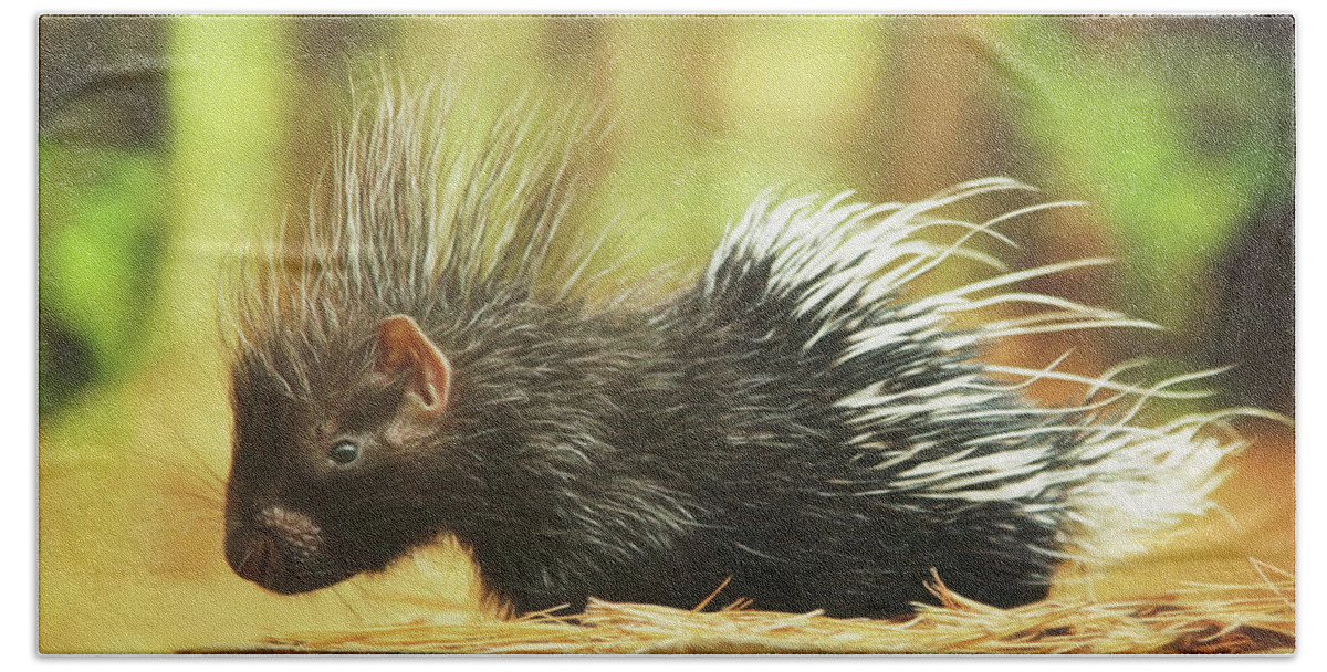 Porcupine Beach Towel featuring the photograph Picture Perfect Porcupine Painting by Carrie Ann Grippo-Pike