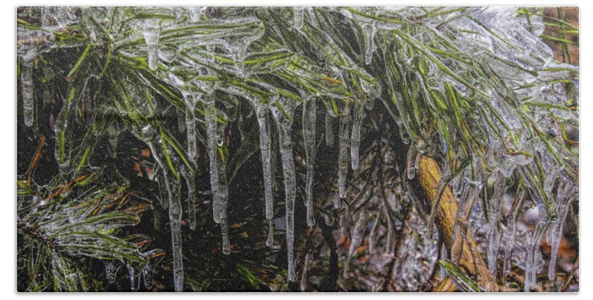 Winter Amicola Falls Beach Towel featuring the photograph Pine Needlecicles by Barbara Bowen