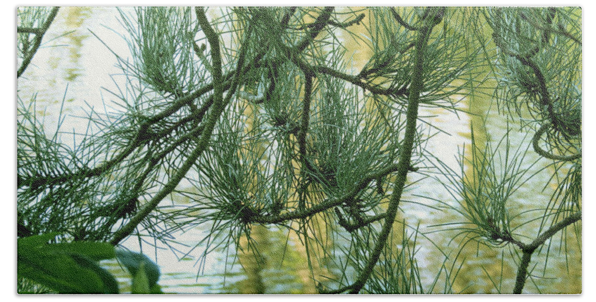 Green Beach Sheet featuring the photograph Pine needles Patchwork by Kim Tran