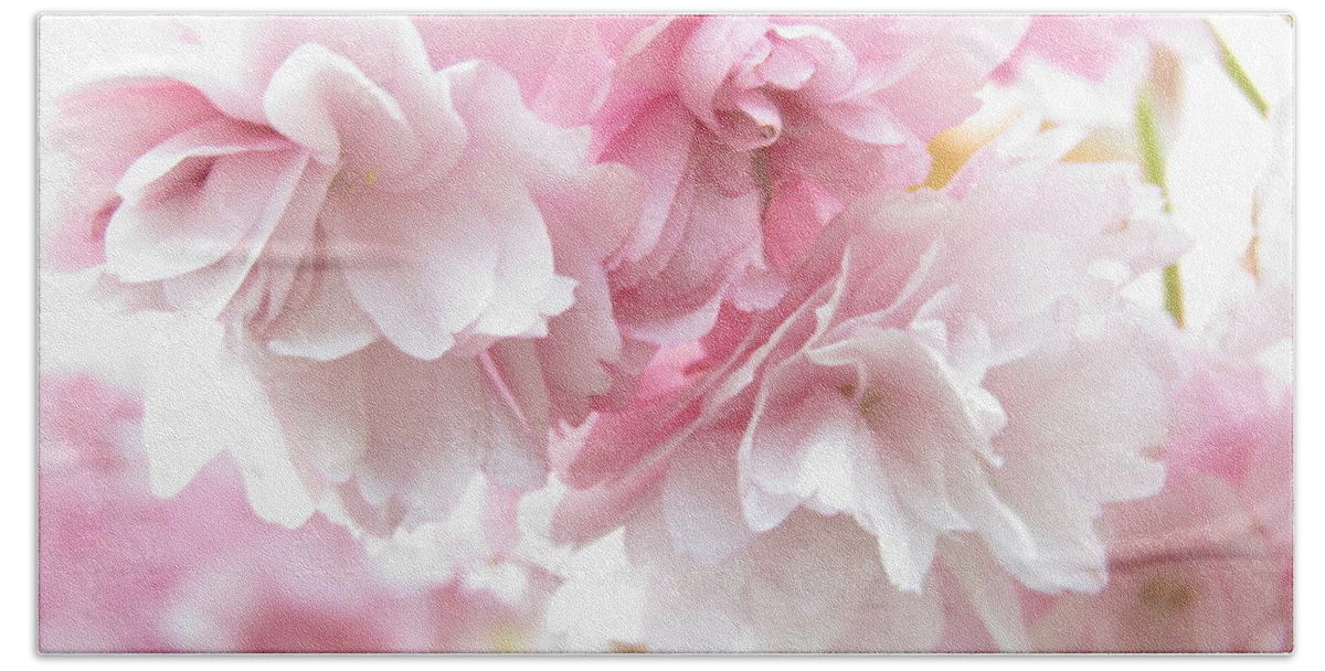 Cherry Blossoms Beach Sheet featuring the photograph Pink April by Kim Tran