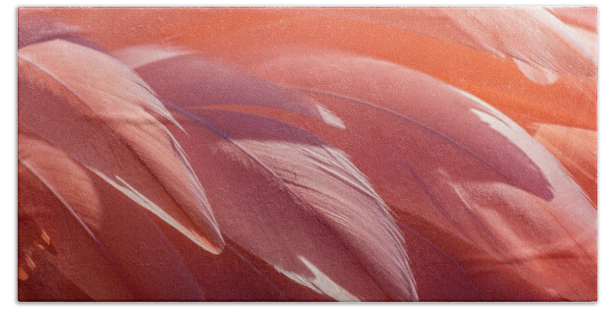 Abstract Beach Towel featuring the photograph Pink Flamingo by Holly Ross