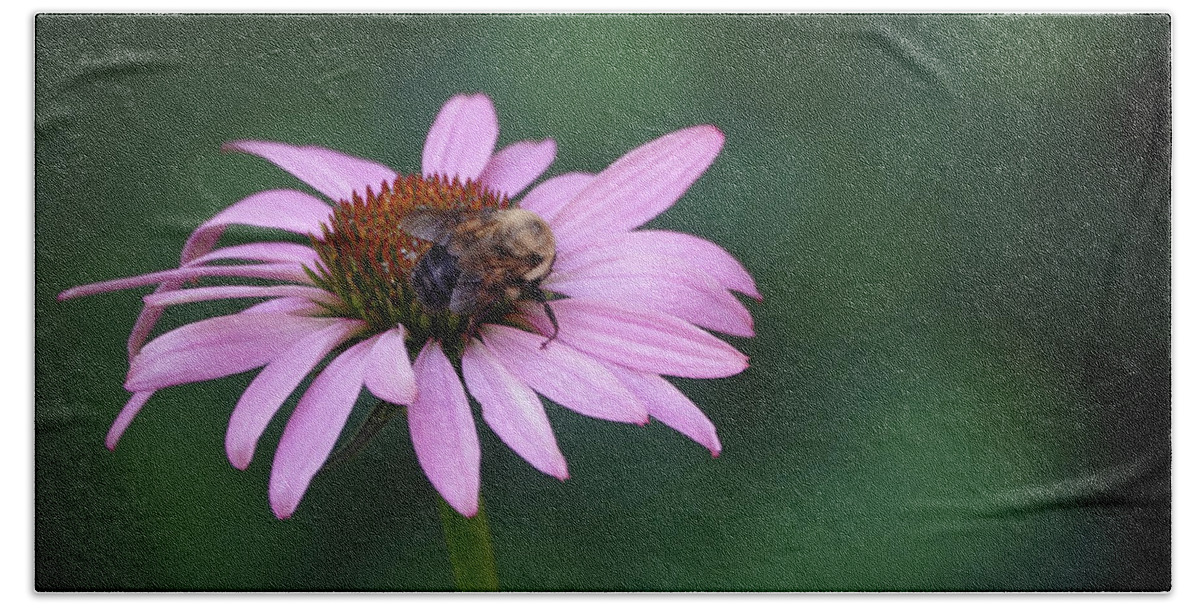 Pink Beach Towel featuring the photograph Pink flower and bee by Jack Nevitt