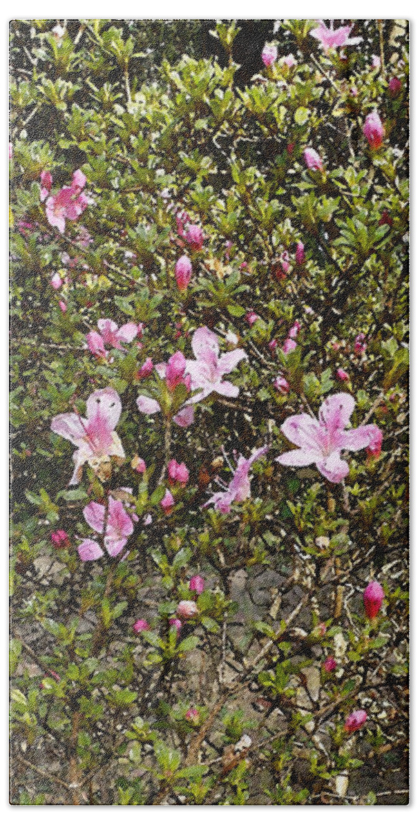 Digital Art Beach Sheet featuring the digital art Pink flower bush by Francesca Mackenney