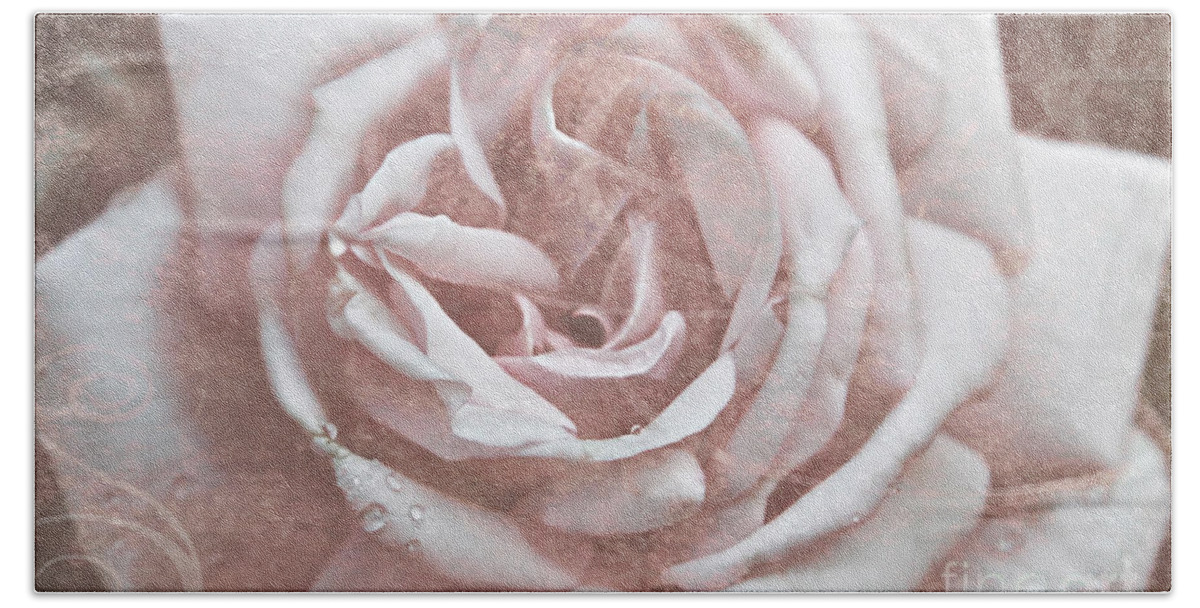 Old Garden Rose Beach Towel featuring the photograph Pink Garden Rose by Patricia Montgomery