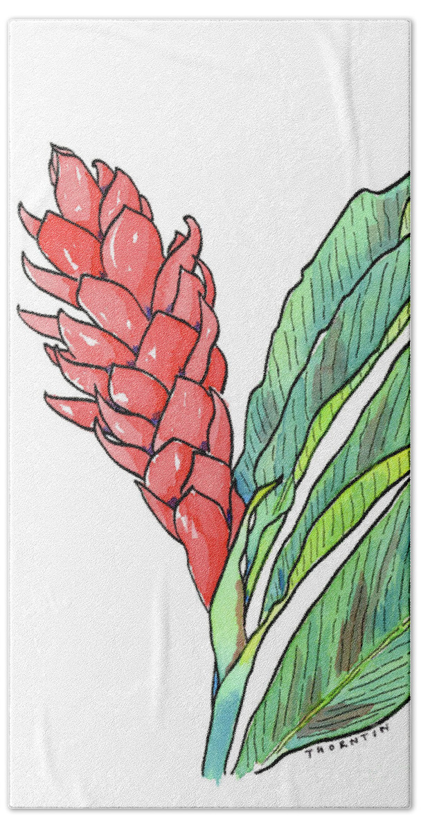 Ginger Beach Towel featuring the painting Pink Ginger by Diane Thornton