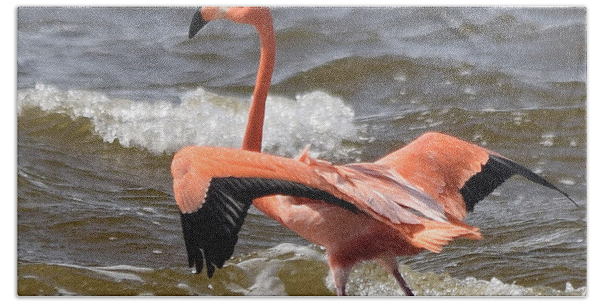 Flamingo Beach Towel featuring the photograph Pretty in Pink by Jim Bennight