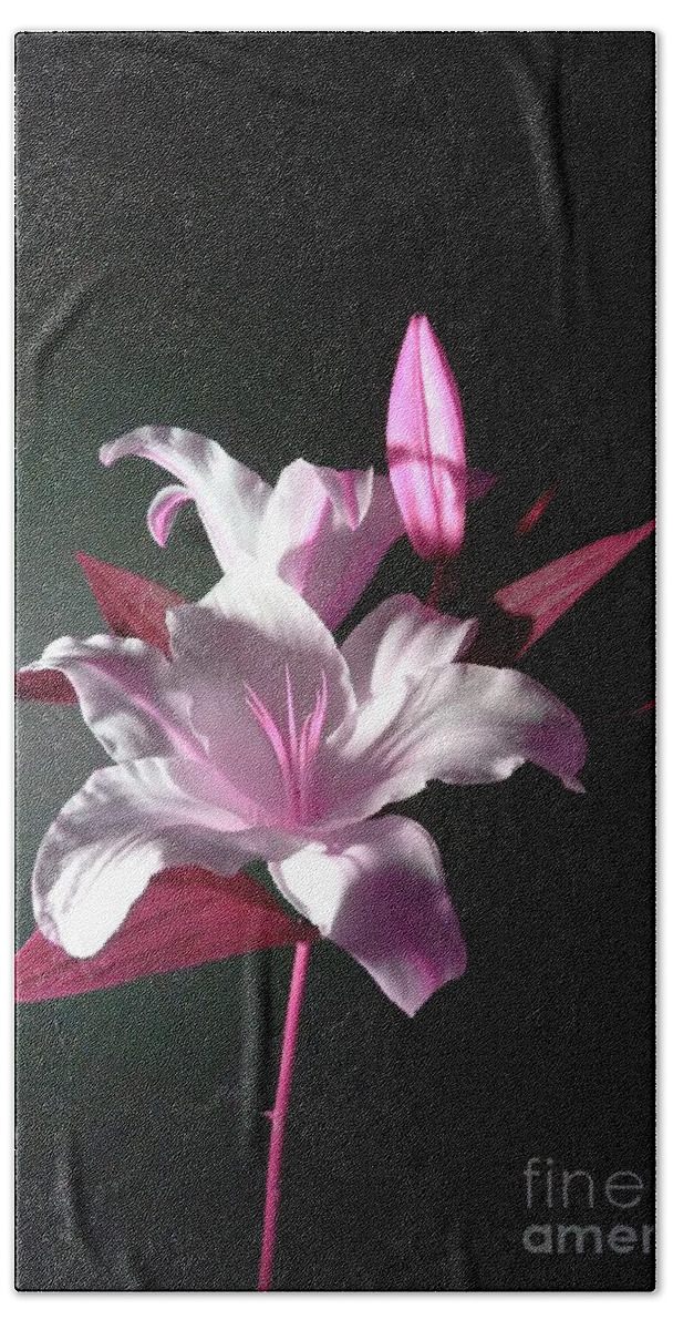 Pink Lily Beach Towel featuring the photograph Pink Lily by Delynn Addams