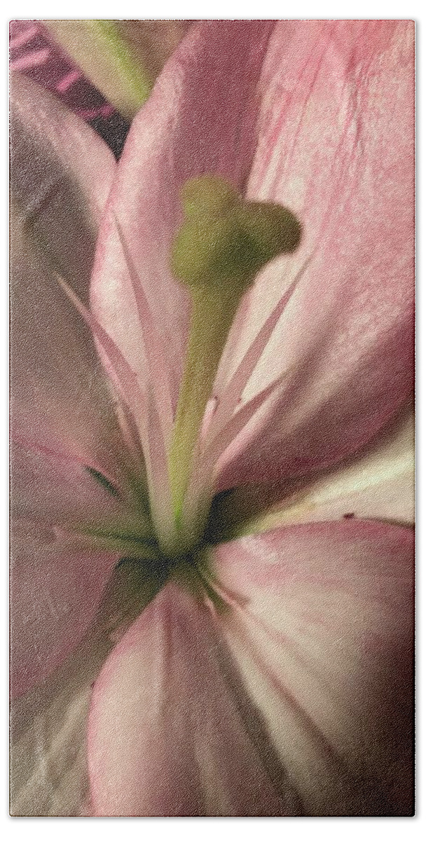 Macro Beach Sheet featuring the photograph Pink Lily-Macro by Marian Lonzetta