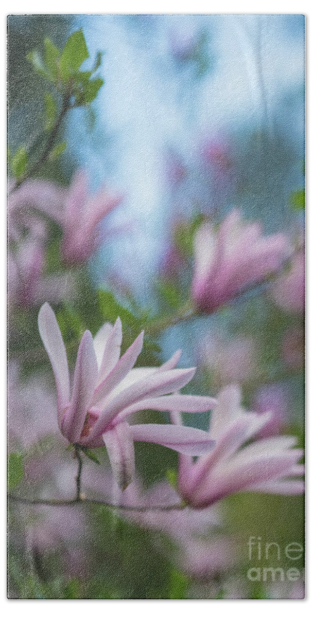 Magnolia Beach Towel featuring the photograph Pink Magnolia Blooms Peaceful by Mike Reid