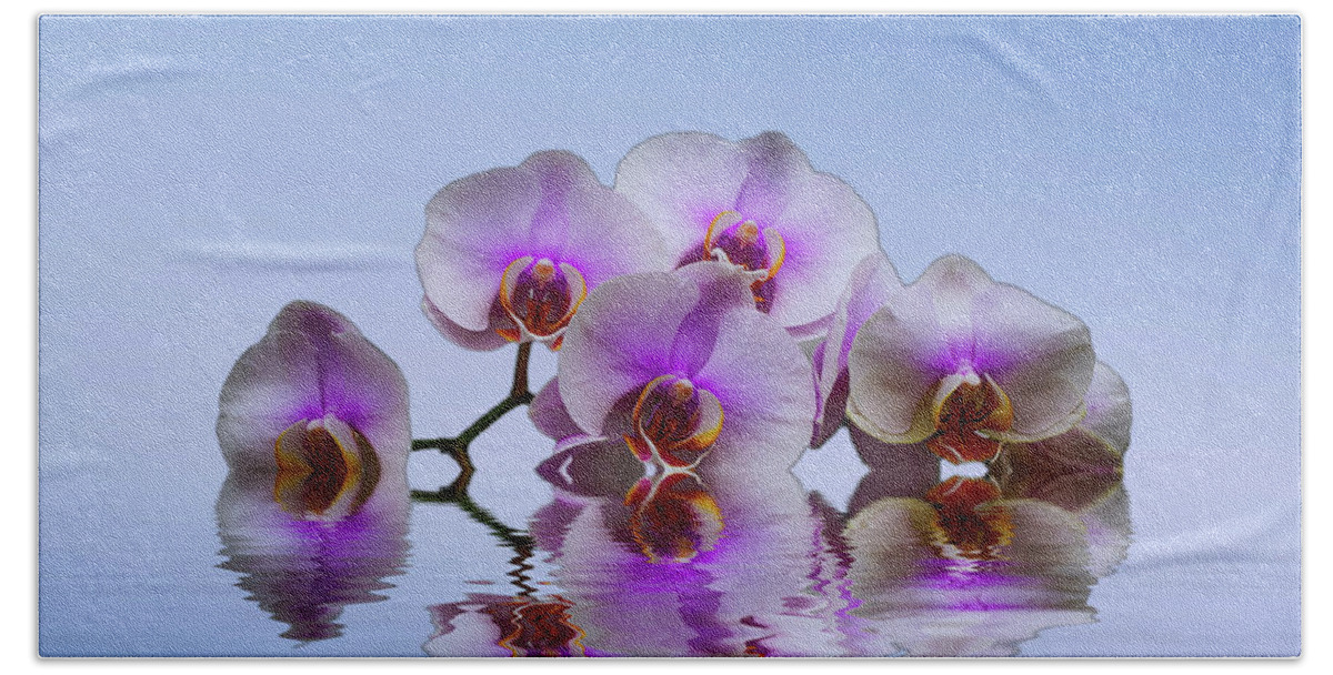 Flowers Beach Sheet featuring the photograph Pink Orchids Blue background by David French