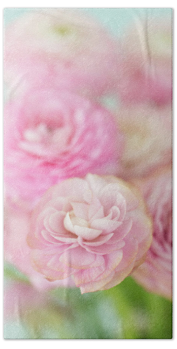 Close-up Beach Towel featuring the photograph Pink Ranunculus on Blue by Susan Gary