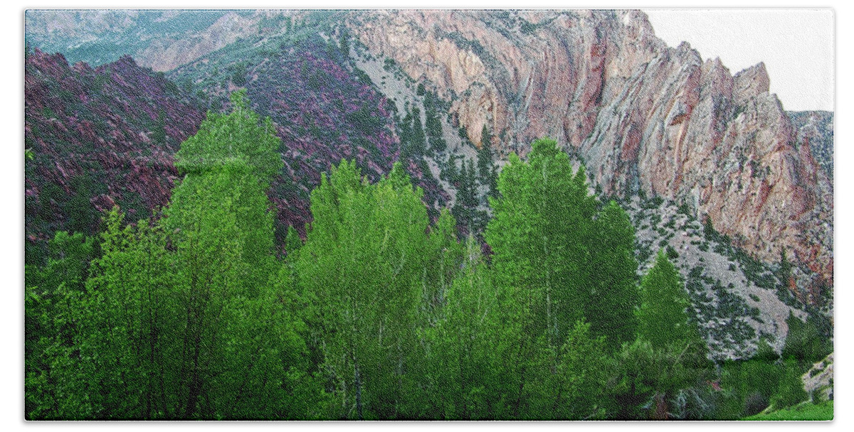 Pink Rock On Sheep Creek Geological Loopl In Flaming Gorge National Recreation Area Beach Towel featuring the photograph Pink Rock on Sheep Creek Geological Loop in Flaming Gorge National Recreation Area, Utah by Ruth Hager
