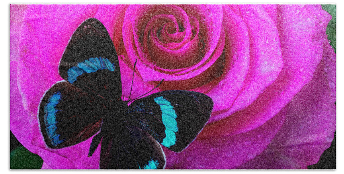 Rose Beach Towel featuring the photograph Pink Rose And Black Blue Butterfly by Garry Gay