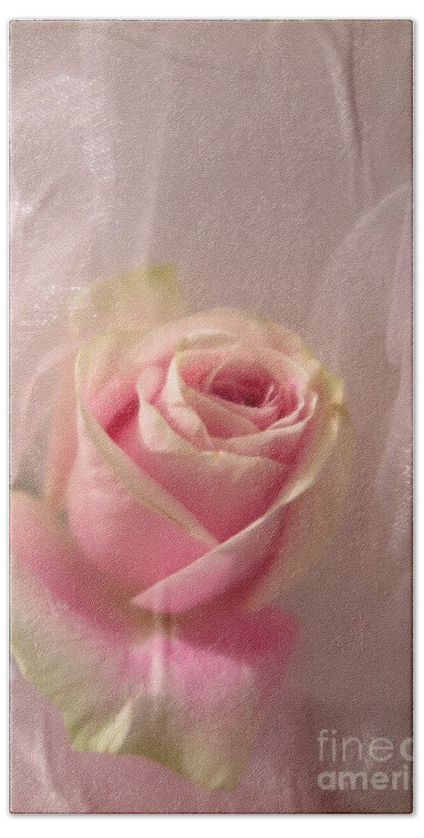 Floral Beach Towel featuring the photograph Pink Rose Fantasy by Tara Shalton
